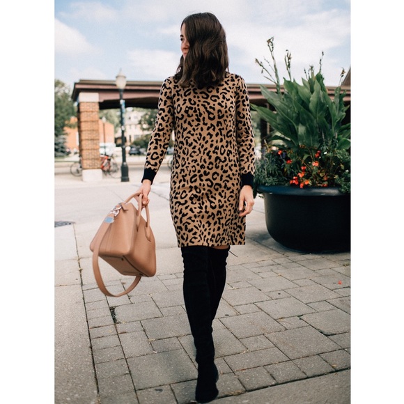 Cheetah Print Sweater Dress - Picture 1 of 5